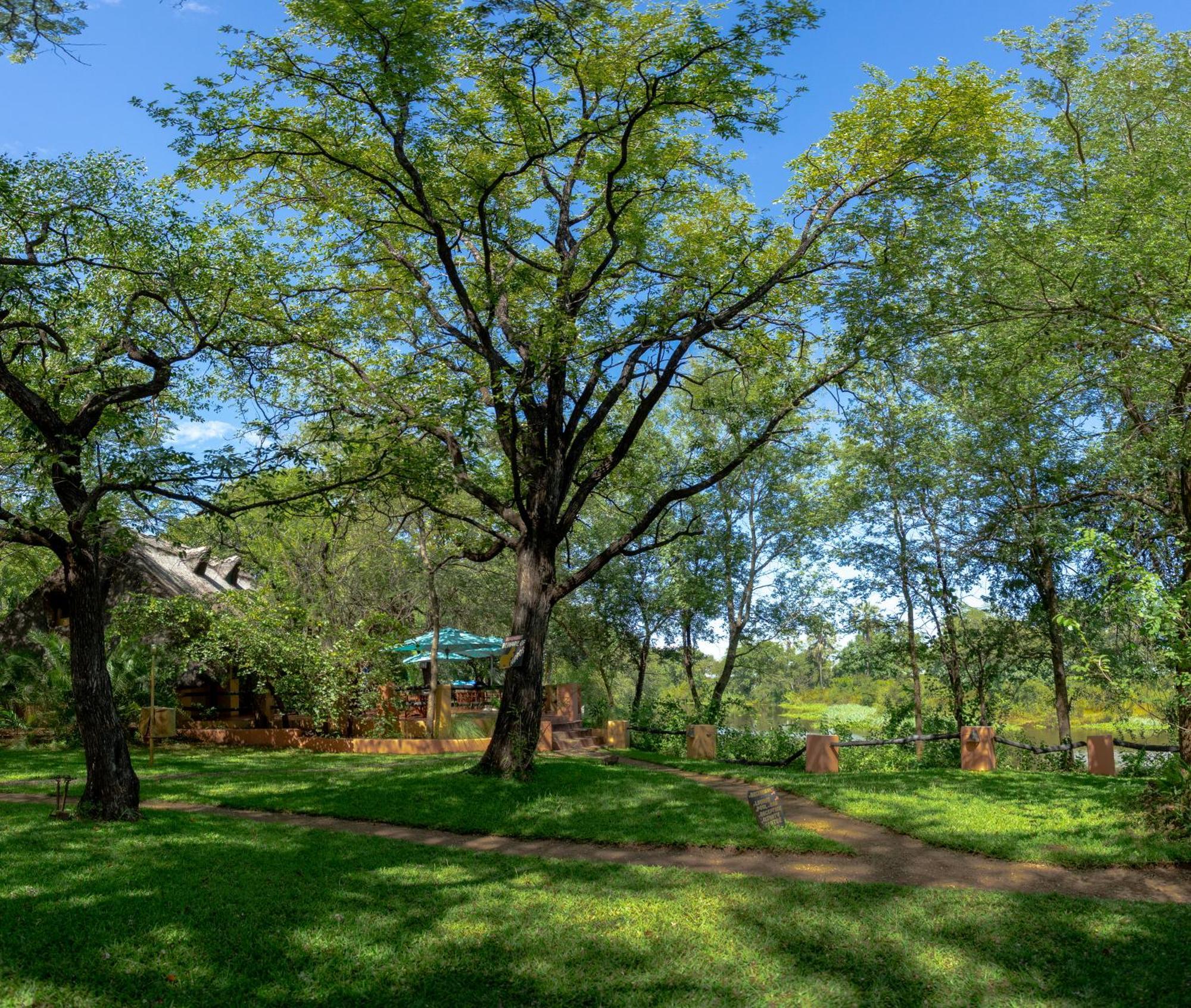 Maramba River Lodge Λίβινγκστον Εξωτερικό φωτογραφία