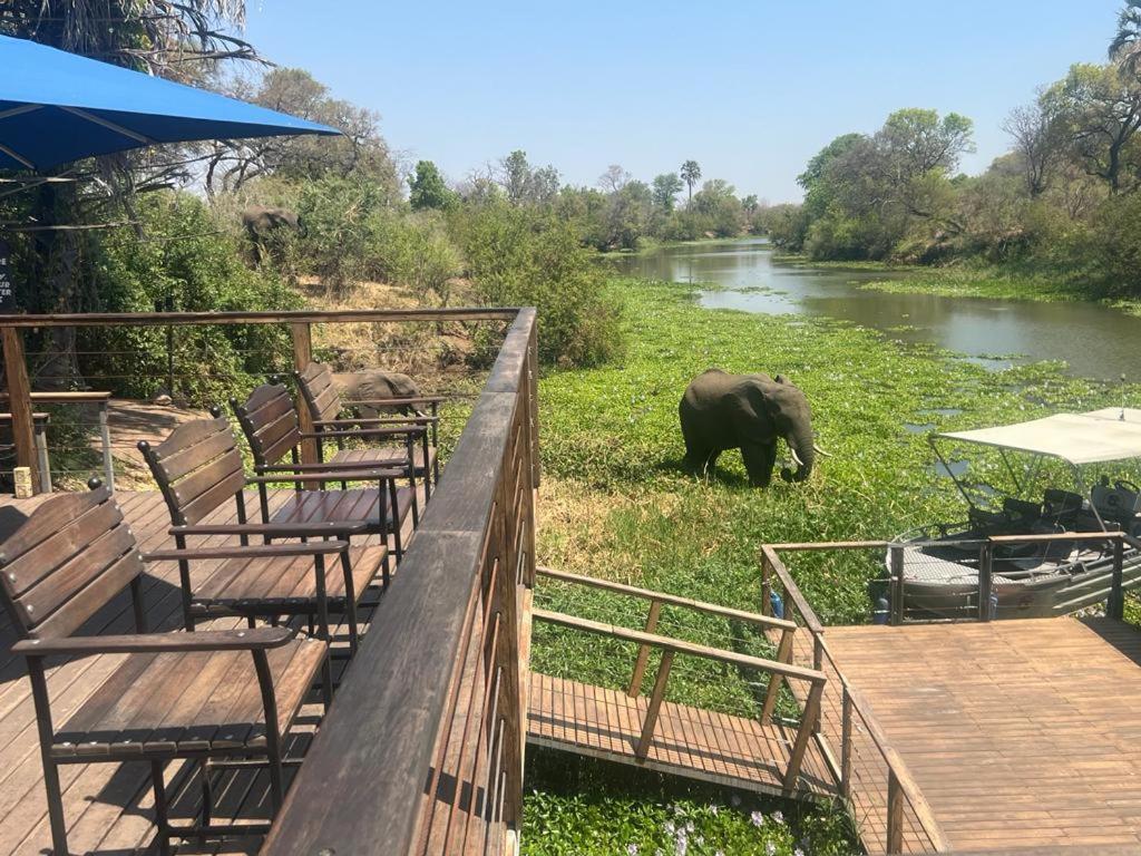 Maramba River Lodge Λίβινγκστον Εξωτερικό φωτογραφία